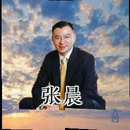 张晨
